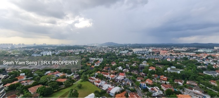 D'Leedon (D10), Condominium #554400161